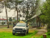 Lefkoşa Türk Belediyesi'nin çam kese böceğiyle mücadelesi sonuç verdi: Şikâyetler 9’a düştü