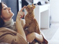 Kedinizin gizli kimliği mırıltısında saklı! Bilim insanları "parmak izini" buldu