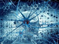 Bilim kurgu gerçek oluyor: Beyni gençleştiren o madde ilk kez görüntülendi