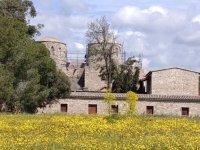 Kültürel Miras Teknik Komitesi, St. Barnabas Manastırı’nda bulunan kilise binasında çalışma başlattı