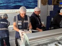 Gönyeli ve Alayköy bölgesindeki su ürünleri perakende satış yerleri denetlendi