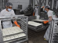 KTSO: Yeşil Hat üzerinden hellim ihracatındaki engel kalkıyor