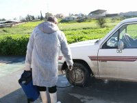 Güney Kıbrıs'ta şap hastalığı yayılıyor...Yedi çiftlikte daha hastalık tespit edildi