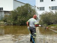 GMB sivrisinek mücadelesine devam ediyor