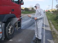 Şap hastalığı bir domuz çiftliğine daha sıçradı