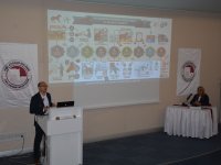 At Hekimliğinde Akademik Zirve!