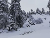 Troodos’ta Kar Bekleniyor: Hava Soğuyor