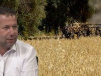 100 bin tonun üzerinde üretim: Çiftçiler Birliği, fiyatlar konusunda haftaya hükümetle masaya oturacak