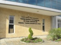 Tarım Bakanlığı Spirotetramat içeren bitki koruma ürünlerine karşı kullanım süresi uyarısında bulundu