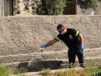 LTB, 7 ekiple sivrisinekle etkin ve biyolojik mücadeleyi sürdürüyor