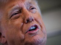 Trump seçim hilesi sorusundan sonra röportajı yarıda kesti: 'Ya yalancısın ya aptalsın'