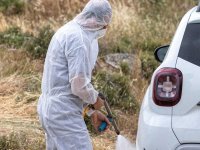 Güney Kıbrıs'ta 121 çiftlikte karantina devam ediyor