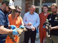 Lefkoşa Barınağı’ndaki sevimli dostların parazit ve aşıları yapıldı