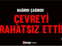 İskele’de Sarhoşluk ve Rahatsızlık: 20 Yaşındaki Şahıs Tutuklandı
