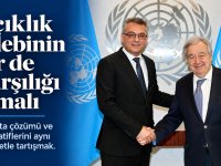 Birikim Özgür yazdı... Peki, çözümsüzlüğün hesabını kim verecek?