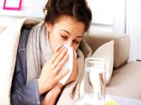 KKTC’de Domuz Gribi vakaları görüldü