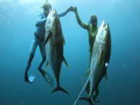 Zıpkınla Balık Avlarken yakalandılar