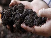 Solucan büyüttü, sermayesini 10 kat büyüttü