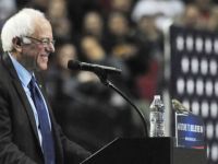 Sanders'dan Üç Önseçim Zaferi