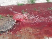 Rögardan kan fışkırdı