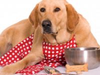 Ünlü sporcu köpek maması yedi, ishal oldu...