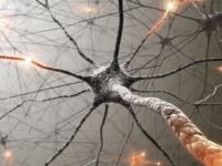 KKTC'de 10'un üzerinde 'ALS' hastası olduğu düşünülüyor...