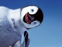 KIB-TEK: “Tozlu hava ve nem, yüksek gerilim hatlarında kısa devreye yol açtı”