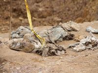 Ban Ki Mun Tomaşitsa hakkında bilgilendirildi