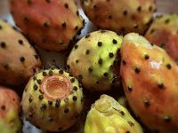 Babutsa'nın DNA'sı çıkarıldı!