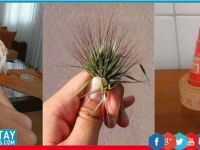 Küçükken kesin yaptığınız 17 şey!