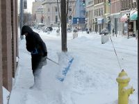 Herkül 16 can aldı