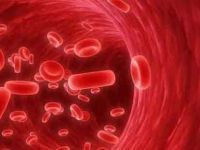 Dünya Lenfoma bilinçlendirme günü