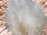 Solakların sayısı neden az?