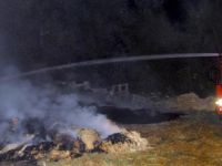 2000 balyasını kundakladılar!