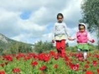 Baharı müjdeleyen ilk cemre düştü