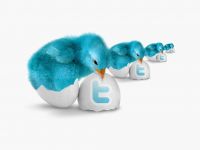 Twitter kullancılarına yeni müjde