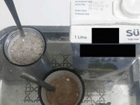 Bardaklardakiler kahve değil, süt!