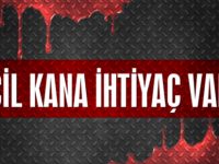 3 yaşındaki Eflin Nurdal için çok acil kan aranıyor!