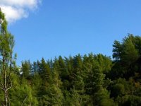 62 kuruluş, 3 bin 500 dönüm orman arazisinin devredilmesini ortak açıklamayla reddetti