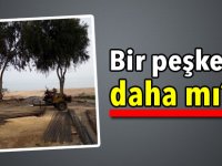 Mahkeme İskele'deki orman peşkeşine dur dedi!