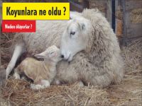 Tarım ve Sağlık Bakanlığı neden susuyor?