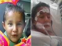 Mantar yedi, Karaciğeri iflas etti