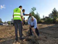 Batan KTHY için 100 fidan