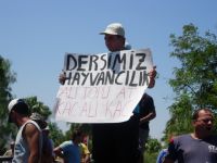 30 bin hayvan telef oldu