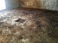 Bufavento Kalesi Mandıra oldu!