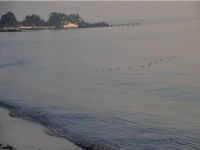 Bakanlık çalışanları yasak avdan yakalandı!