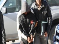 600 gram bonzai davası