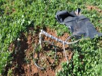 25 ağaç katledildi…