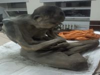 200 yıldır meditasyon yapıyor