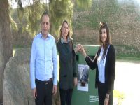 Sokak Hayvanlarına Mama Toplama Kutusu